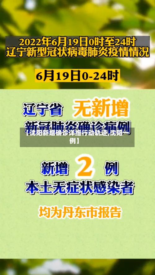 【沈阳新增确诊详细行动轨迹,沈阳一例】