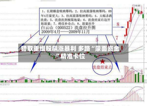 猎取重组股飙涨暴利 多路“蒙面资金”精准卡位-第2张图片