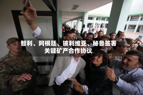 智利、阿根廷、玻利维亚	、秘鲁签署关键矿产合作协议-第2张图片