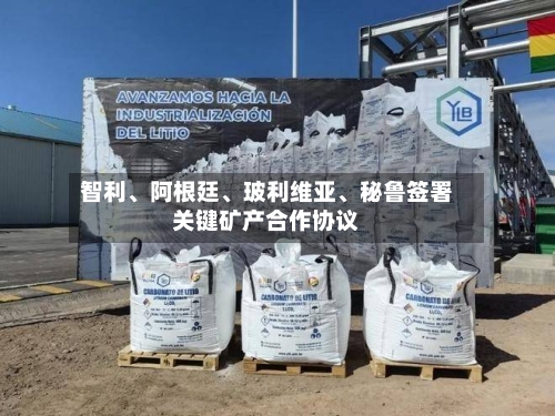 智利、阿根廷、玻利维亚	、秘鲁签署关键矿产合作协议-第3张图片