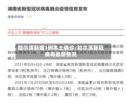 哈尔滨新增1例本土确诊/哈尔滨新冠病毒最新情况-第2张图片