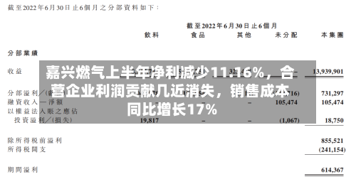 嘉兴燃气上半年净利减少11.16%，合营企业利润贡献几近消失，销售成本同比增长17%-第3张图片