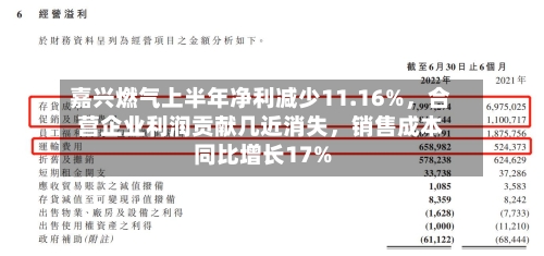 嘉兴燃气上半年净利减少11.16%，合营企业利润贡献几近消失	，销售成本同比增长17%-第2张图片