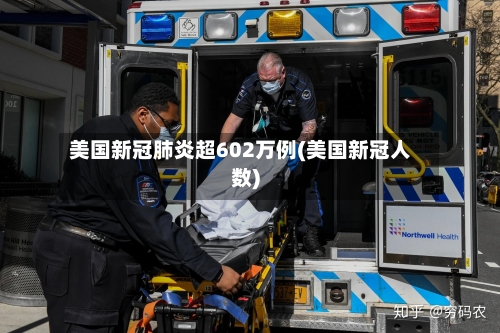 美国新冠肺炎超602万例(美国新冠人数)-第2张图片