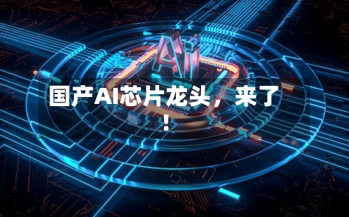 国产AI芯片龙头，来了！