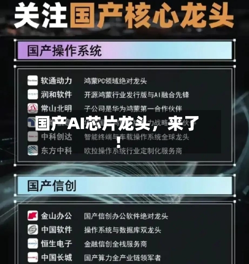 国产AI芯片龙头	，来了！-第3张图片