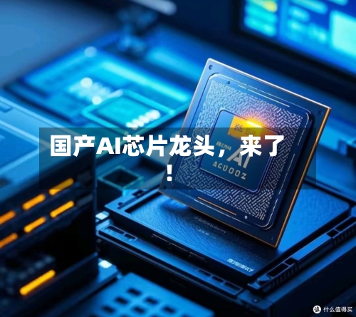 国产AI芯片龙头，来了！-第2张图片
