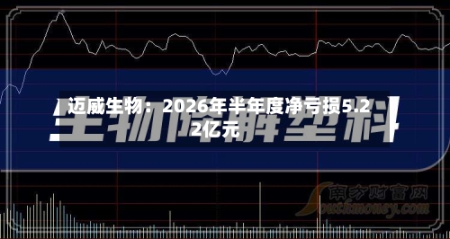 迈威生物:2026年半年度净亏损5.22亿元-第2张图片