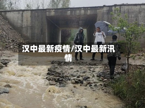 汉中最新疫情/汉中最新汛情