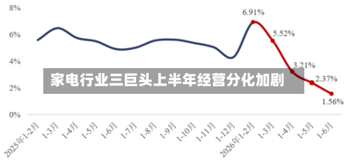 家电行业三巨头上半年经营分化加剧-第2张图片
