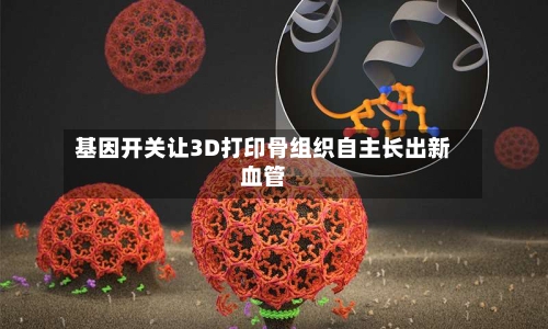 基因开关让3D打印骨组织自主长出新血管-第2张图片