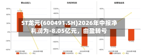 ST龙元(600491.SH)2026年中报净利润为-8.05亿元，由盈转亏-第2张图片