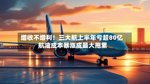 增收不增利！三大航上半年亏超80亿 航油成本暴涨成最大拖累-第3张图片