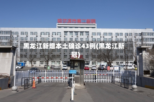 黑龙江新增本土确诊43例(黑龙江新冠)-第3张图片
