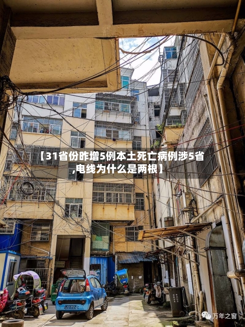 【31省份昨增5例本土死亡病例涉5省,电线为什么是两根】-第2张图片