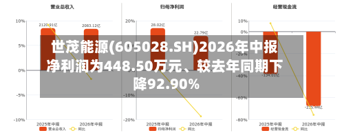 世茂能源(605028.SH)2026年中报净利润为448.50万元、较去年同期下降92.90%-第3张图片