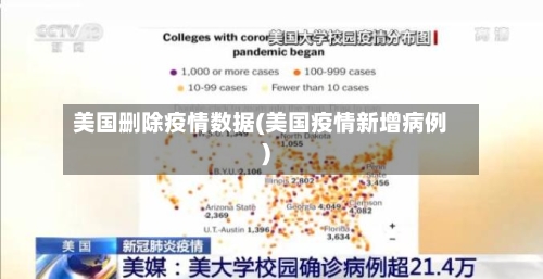 美国删除疫情数据(美国疫情新增病例)-第2张图片