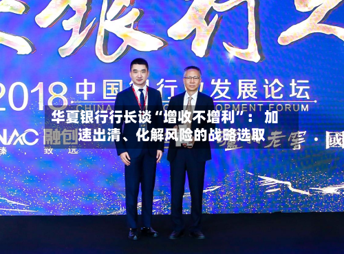华夏银行行长谈“增收不增利”： 加速出清、化解风险的战略选取-第2张图片