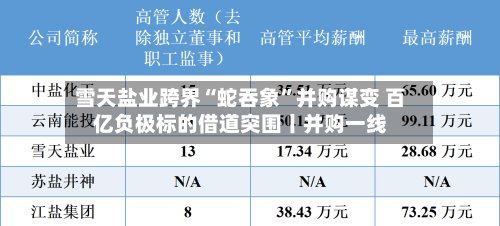 雪天盐业跨界“蛇吞象”并购谋变 百亿负极标的借道突围丨并购一线-第2张图片
