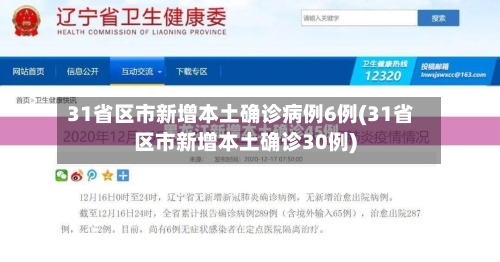 31省区市新增本土确诊病例6例(31省区市新增本土确诊30例)