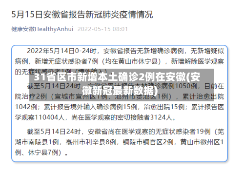 31省区市新增本土确诊2例在安徽(安徽新冠最新数据)-第3张图片
