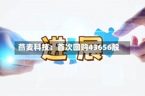 燕麦科技：首次回购43656股-第2张图片