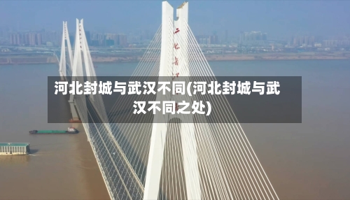 河北封城与武汉不同(河北封城与武汉不同之处)