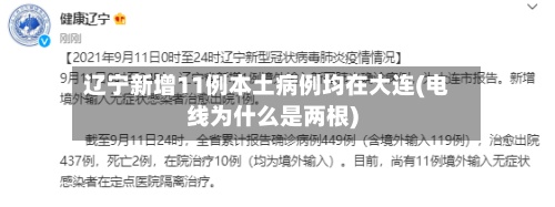 辽宁新增11例本土病例均在大连(电线为什么是两根)