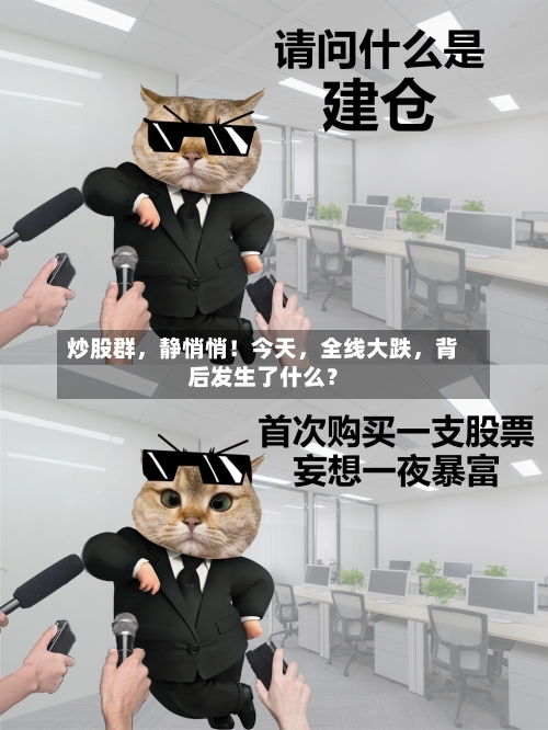 炒股群，静悄悄！今天，全线大跌	，背后发生了什么？-第2张图片