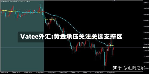 Vatee外汇:黄金承压关注关键支撑区-第2张图片