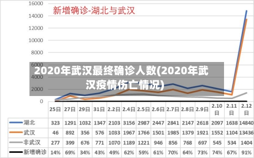 2020年武汉最终确诊人数(2020年武汉疫情伤亡情况)-第2张图片