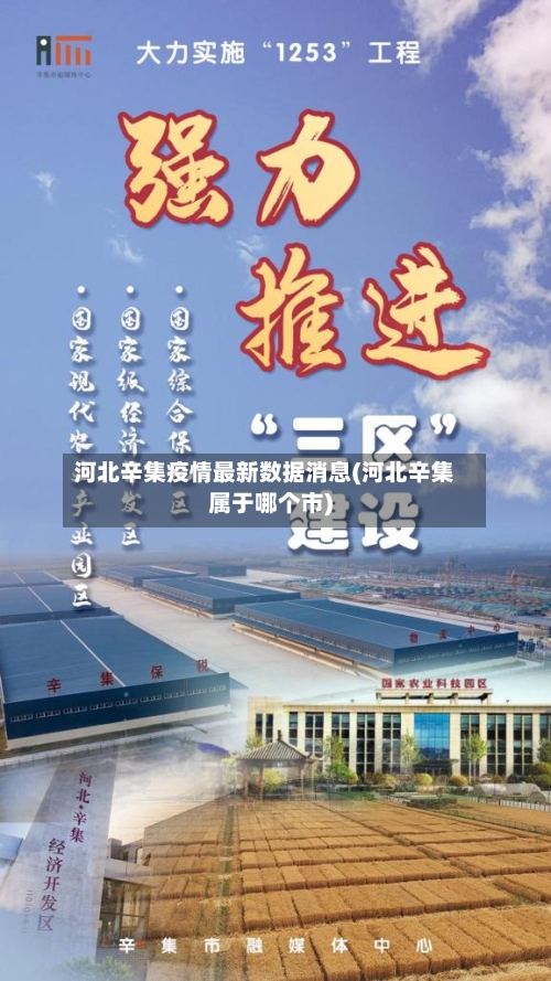 河北辛集疫情最新数据消息(河北辛集属于哪个市)-第2张图片
