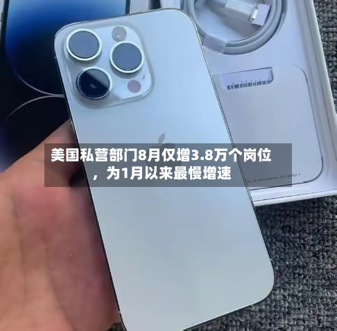 美国私营部门8月仅增3.8万个岗位，为1月以来最慢增速-第2张图片
