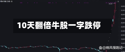 10天翻倍牛股一字跌停-第2张图片