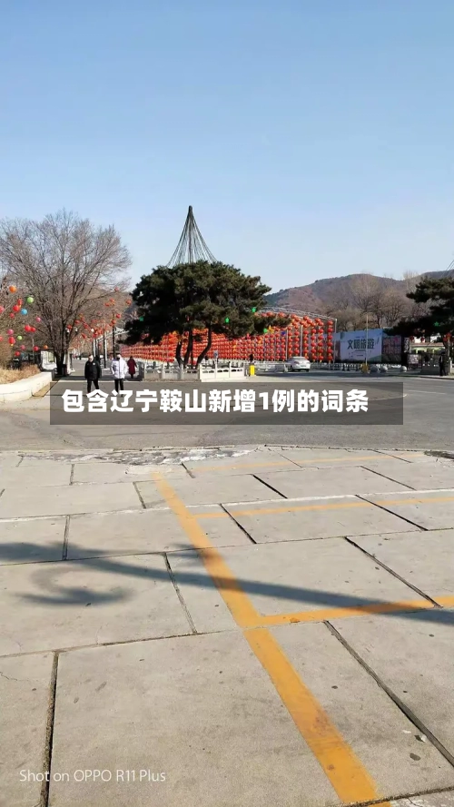 包含辽宁鞍山新增1例的词条