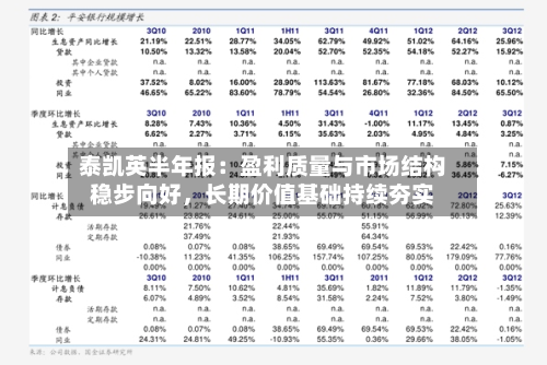 泰凯英半年报：盈利质量与市场结构稳步向好，长期价值基础持续夯实-第2张图片