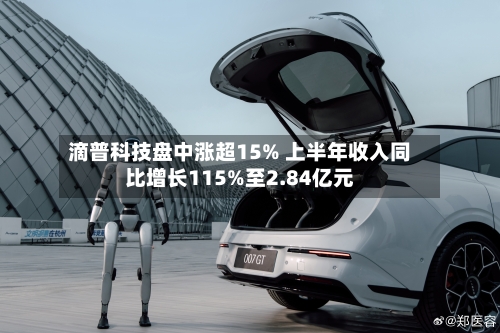 滴普科技盘中涨超15% 上半年收入同比增长115%至2.84亿元