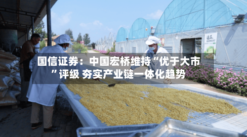 国信证券：中国宏桥维持“优于大市”评级 夯实产业链一体化趋势-第3张图片