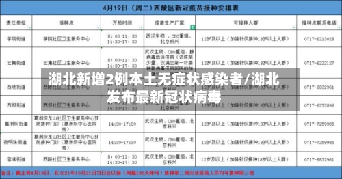 湖北新增2例本土无症状感染者/湖北发布最新冠状病毒-第2张图片