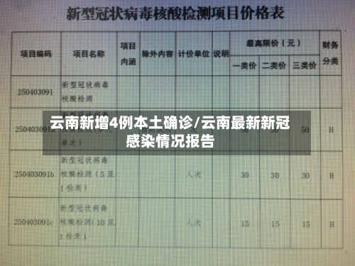 云南新增4例本土确诊/云南最新新冠感染情况报告-第2张图片