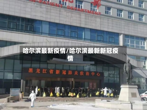 哈尔滨最新疫情/哈尔滨最新新冠疫情-第2张图片