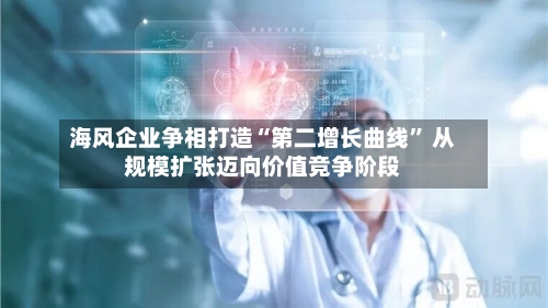 海风企业争相打造“第二增长曲线” 从规模扩张迈向价值竞争阶段-第2张图片