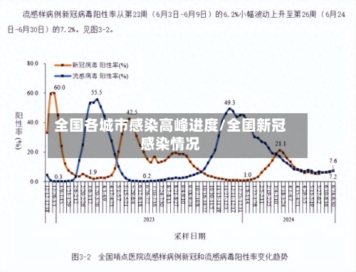 全国各城市感染高峰进度/全国新冠感染情况-第2张图片