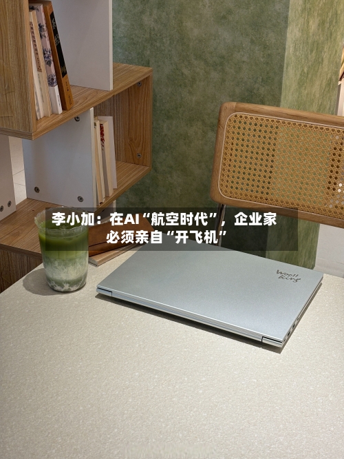 李小加：在AI“航空时代”，企业家必须亲自“开飞机”-第2张图片
