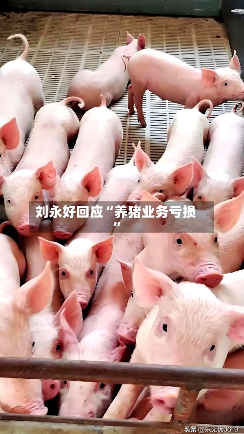 刘永好回应“养猪业务亏损	”-第2张图片