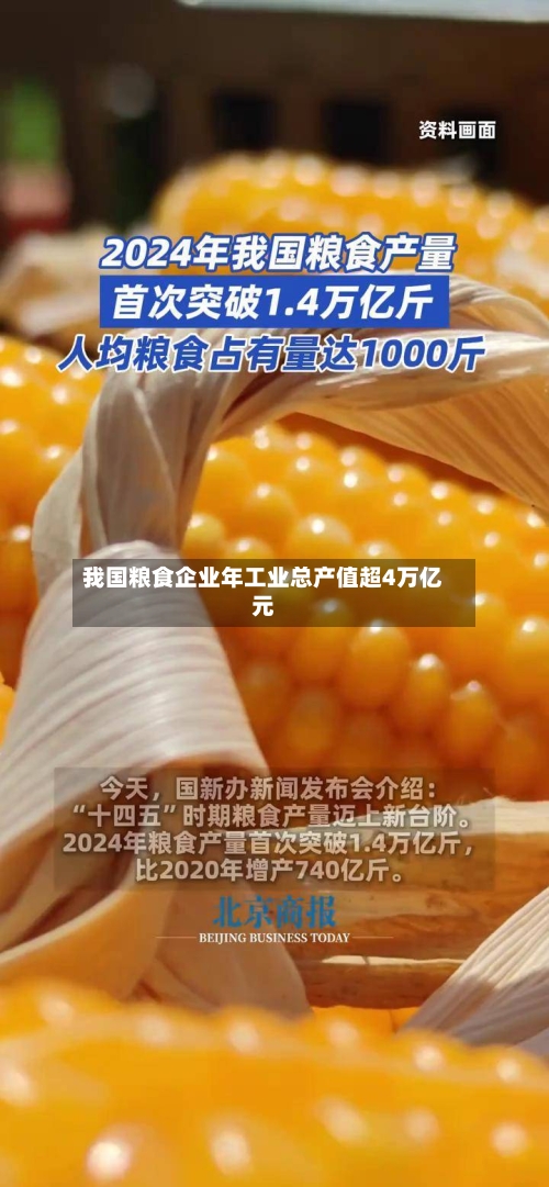 我国粮食企业年工业总产值超4万亿元-第2张图片
