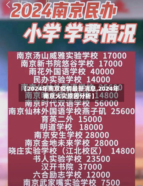 【2024年南京疫情最新消息,2024年南京火灾原因分析】-第2张图片